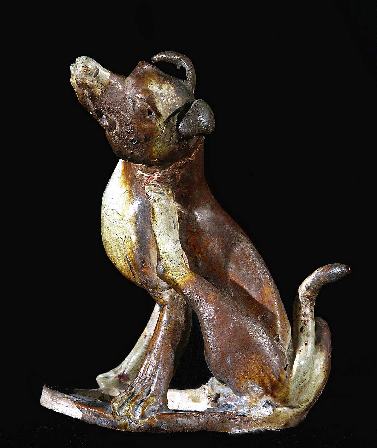 Cane Dinastia Tang