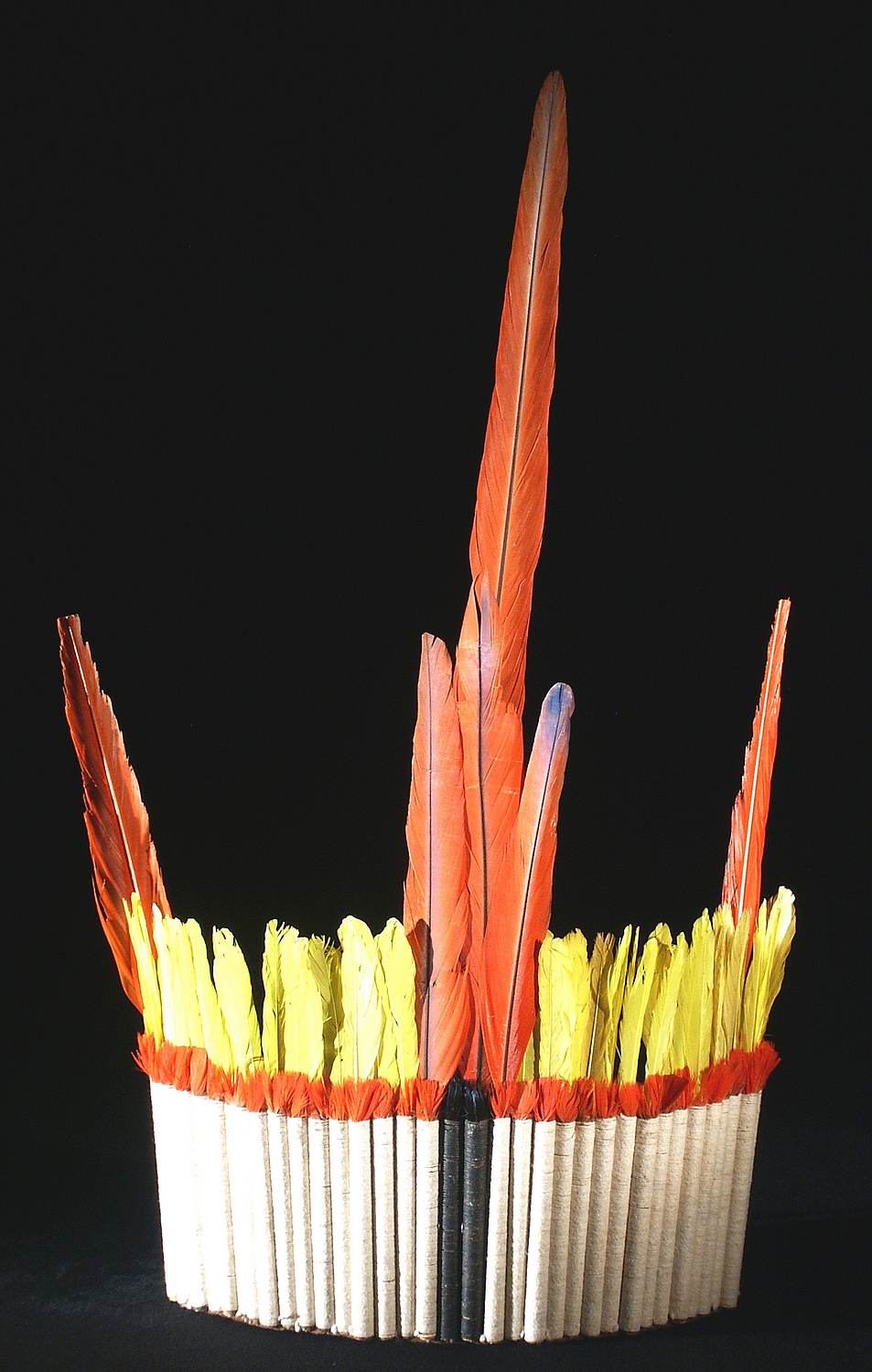 Alla scoperta della Amazzonia