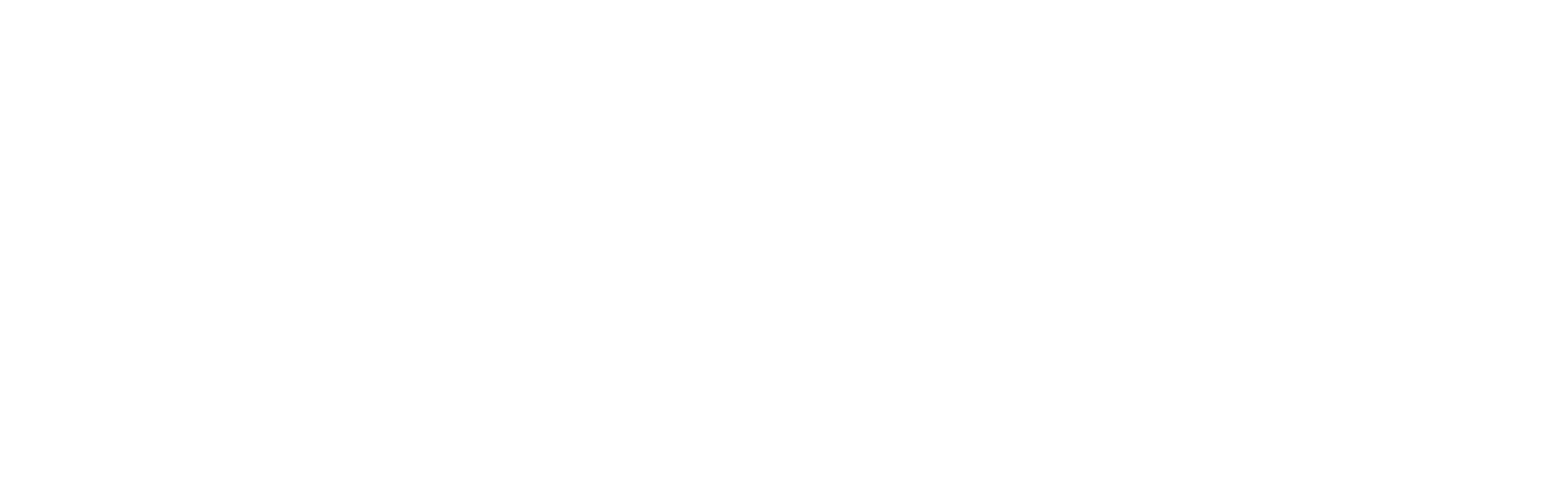 Museo d'arte cinese ed etnografico parma