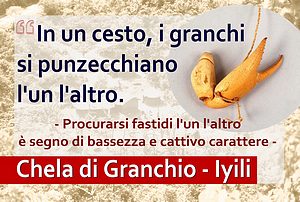 Pipa ad acqua