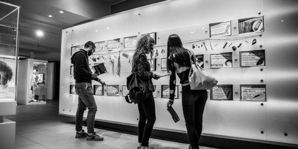 Newsletter Museo Arte Cinese Parma
